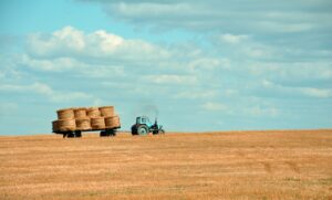 Regional farm work in Australia for Working Holiday Visa 88 days requirement
